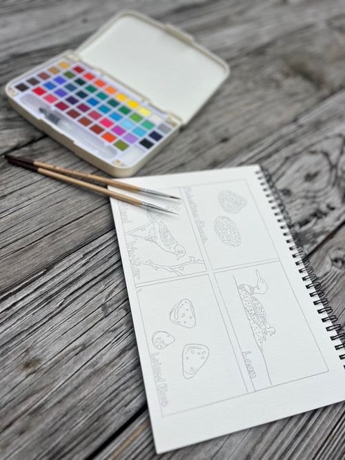 Art Workbook : Iconic Northern Michigan